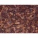 Corteccia (bark) - fine - 2.5 L